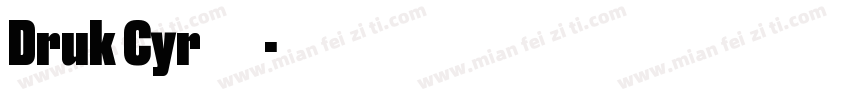 Druk Cyr 字体家族所有风格字体转换